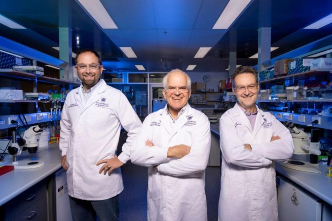 Professor Nathan Palpant, Professor Mark Smythe and Professor Glenn King. 